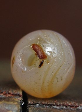 老冰润玛瑙桶珠9.5×8.5mm