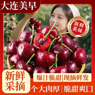 旅顺大樱桃JJ+JJJ, 省外拍,顺丰快递包邮到家,新鲜水果当季