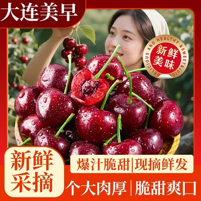 旅顺大樱桃，JJ辽宁省内拍，顺丰包邮，现摘现发，口感纯正