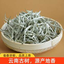 景谷大白毫大芽云南白茶普洱2026年明前头春芽头月光白毫银针