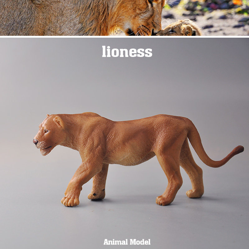 外单正品 正版仿真 野生动物模型 母狮子 男孩儿童玩具,玩具/童车/益智/积木/模型,仿真/动物玩偶,淘宝优惠券,粉丝福利购,淘宝优惠卷