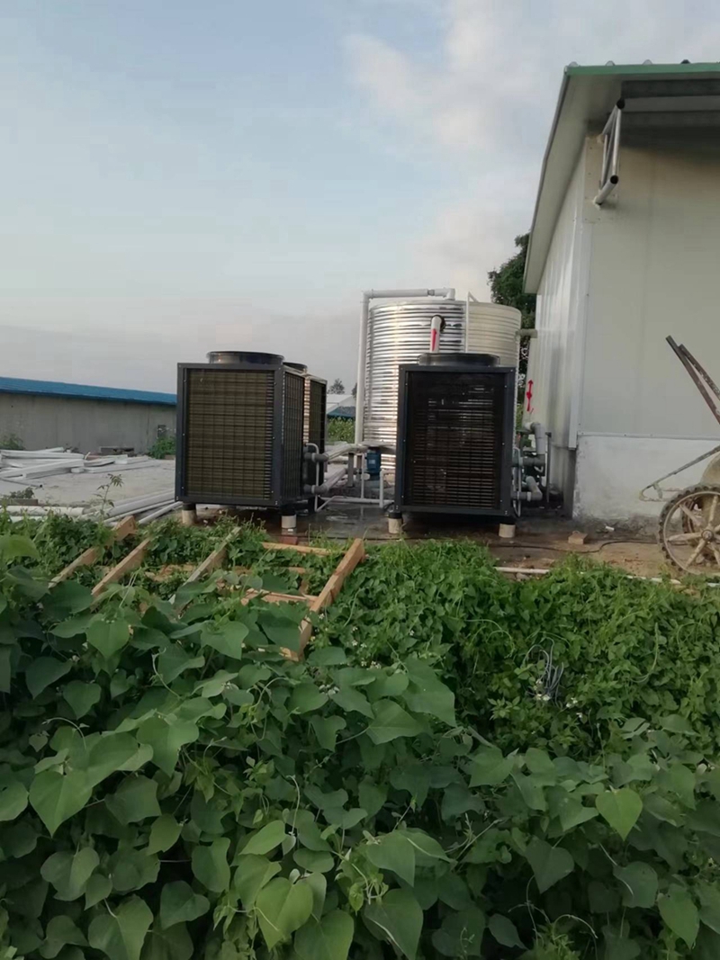 养殖场空气能地暖鸡场热泵种鸡商用机恒温鸡苗供暖鸡棚三联供安装