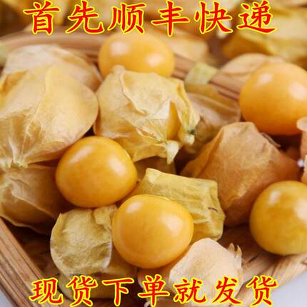 顺丰新鲜菇娘果包邮东北产特产现摘甜黄姑娘果大小果1件产地直销