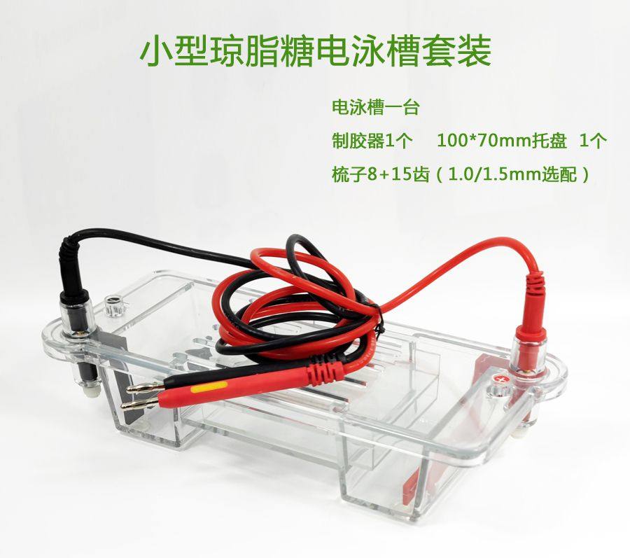 小型水平电泳槽伯乐天能六一31cn水平槽 dna核酸 琼脂糖水平电泳