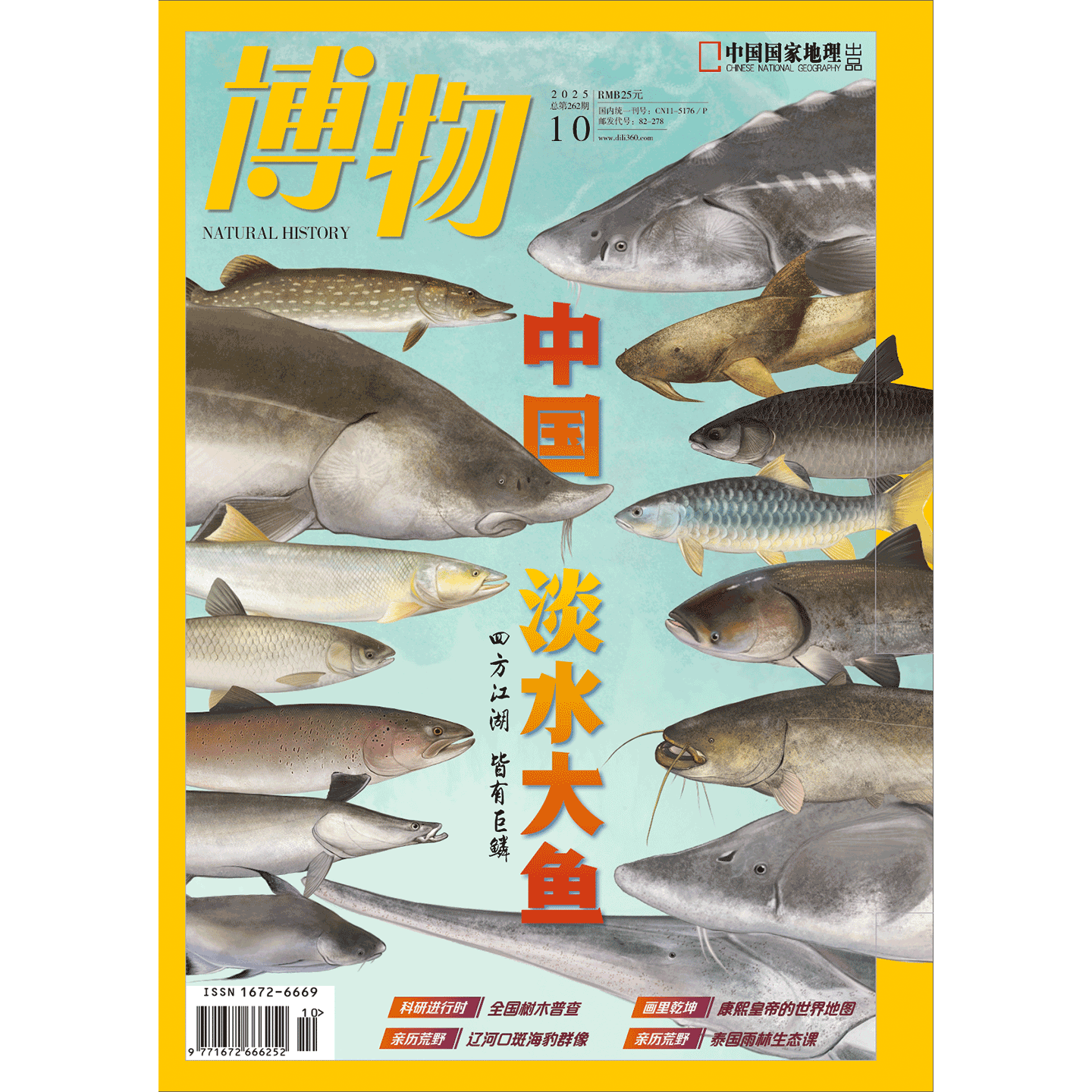 【中国·淡水大鱼】 博物杂志2025年10期/月刊 /中华鲟/鳇鱼/鲢鳙/鲑鱼等介绍 中国国家地理旗舰店