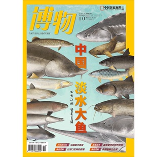 月刊 中华鲟 鳇鱼 鲑鱼等介绍 博物杂志2025年10期 鲢鳙 中国国家地理旗舰店 中国·淡水大鱼