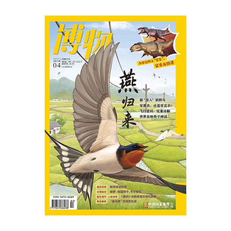 博物杂志2023年4月刊燕子