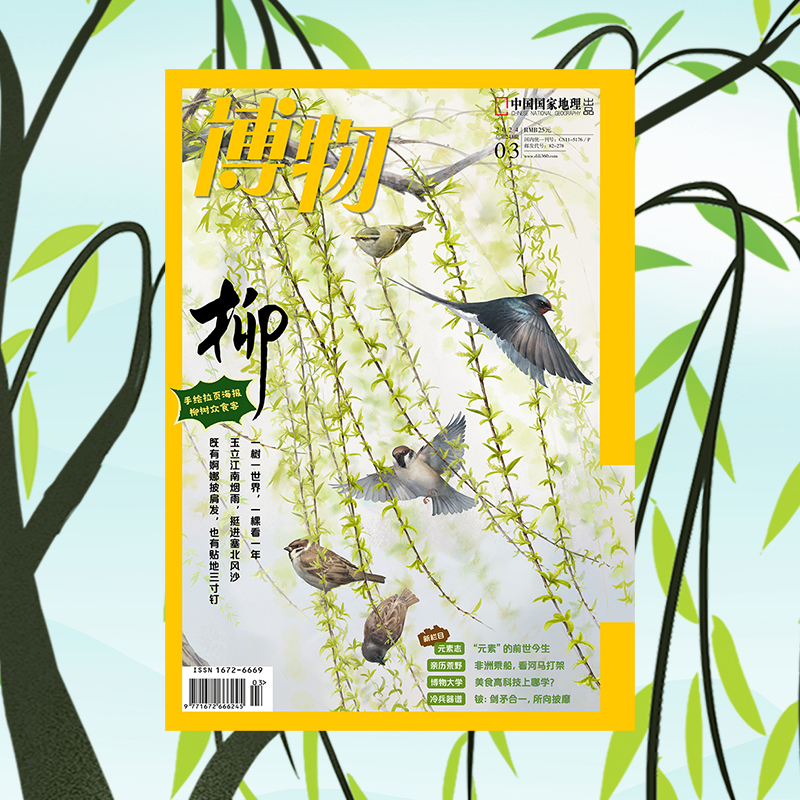 【202403】柳树 博物杂志2024年3月刊 非洲博茨瓦纳游猎 麝 江南大学食品专业 元素志总论 中国国家地理旗舰店