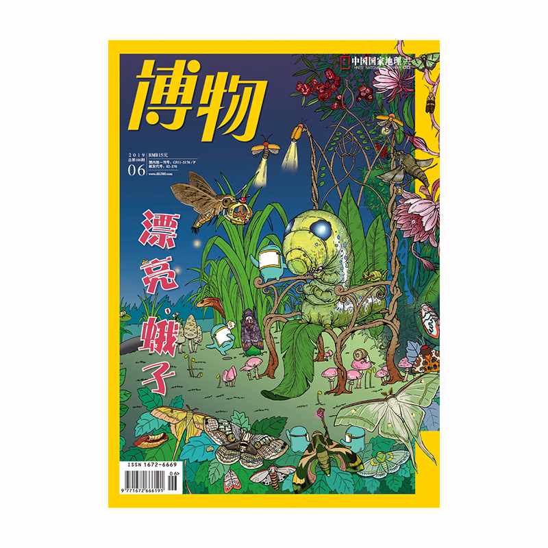 【201906】漂亮蛾子 博物杂志 2019年6月/6期 正版期刊原版杂志