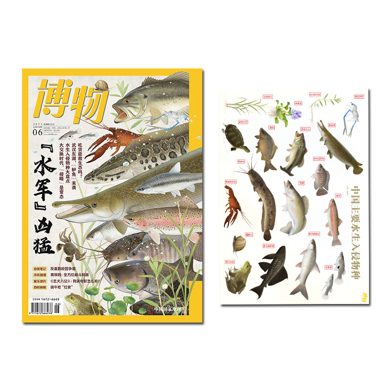【202306+海报】水军凶猛 博物杂志2023年6月杂志+中国主要水生入侵生物海报 博物杂志全年订阅 中国国家地理旗舰店怎么样,好用不?