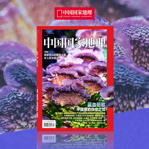 【202609】中国国家地理杂志2026年9月刊中国鲎 高黎贡菌物 青铜器科技考古 平陆运河 中国国家地理旗舰店