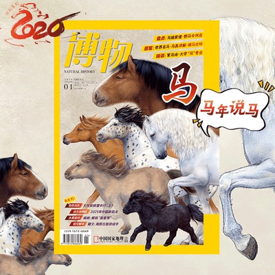 【2026年1月 主题 马】 博物杂志2026年1期/月刊   马年说马 马家“八骏”  含马专题拉页  中国国家地理旗舰店