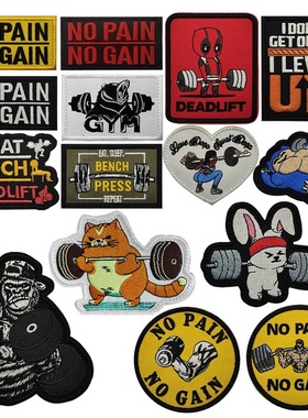 刺绣No Pain No Gain健身运动举重魔术贴徽章士气章布贴臂章背包