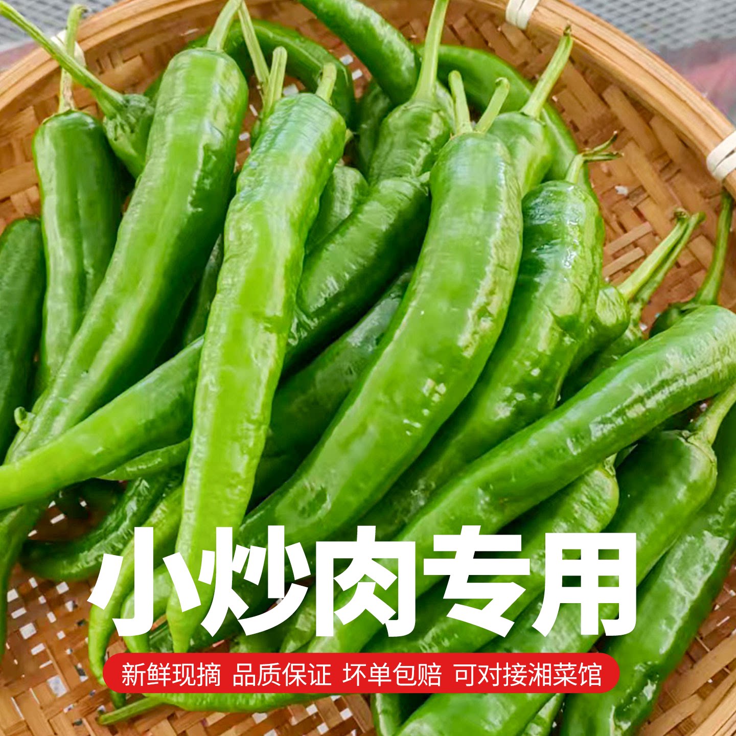 湖南本地新鲜55号辣椒软皮青椒薄皮青辣椒产地发货湘菜馆食材批发