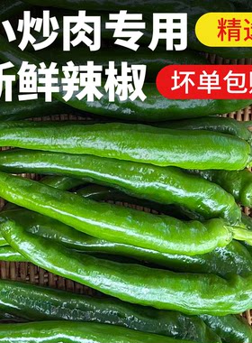 湖南小炒肉辣椒新鲜微辣软皮青椒薄皮青辣椒酒店饭店湘菜食材批发