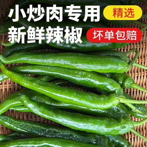 湖南小炒肉辣椒新鲜微辣软皮青椒薄皮青辣椒酒店饭店湘菜食材批发