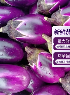 湖南紫圆茄子新鲜紫色茄子现摘批发季节时令蔬菜素菜酒店食材包邮