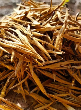 滇红茶2026年早春第一拨霸王金针 早春红茶 芽大肥硕 高蜜香