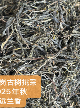 【48元包运】镇店之宝 曼岗古树秋茶散茶2025年秋 岩骨甜韵150克