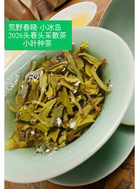 荒野春晓·小冰岛 2026头春头采散茶 小叶种茶