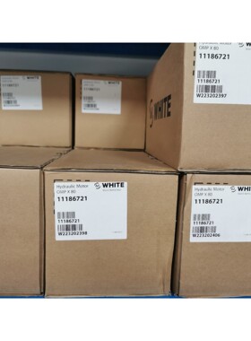 维修指导OMPX80 11186721怀特摆线马达详询