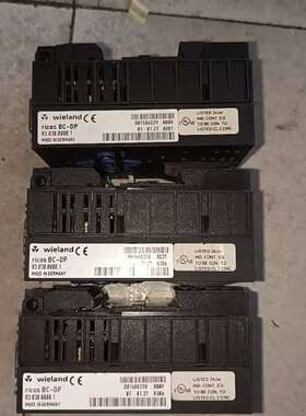 检修德国威琅Wieland ricos BC-DP  83.03详询