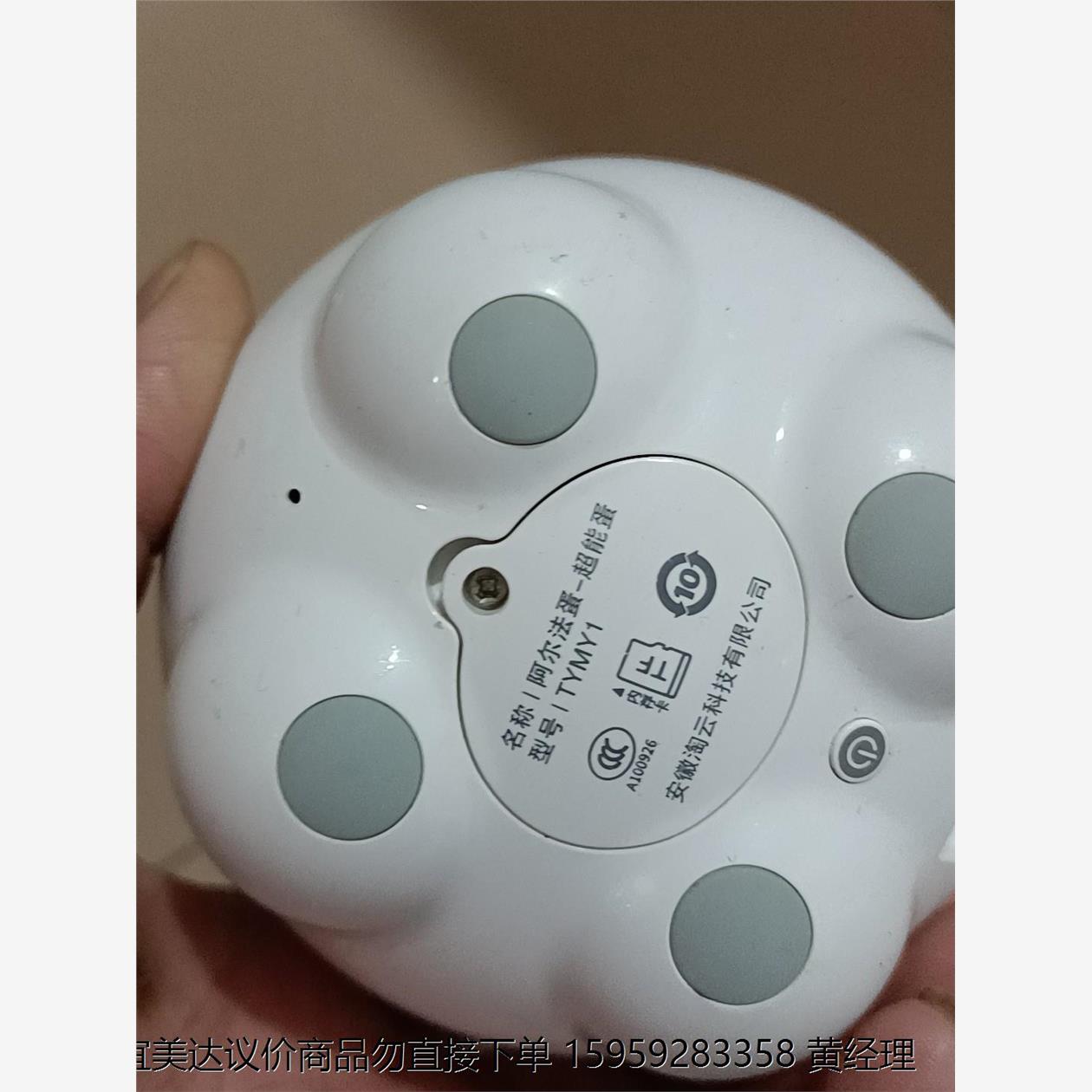 阿尔法小蛋TYS1，正常使用，无其他配件