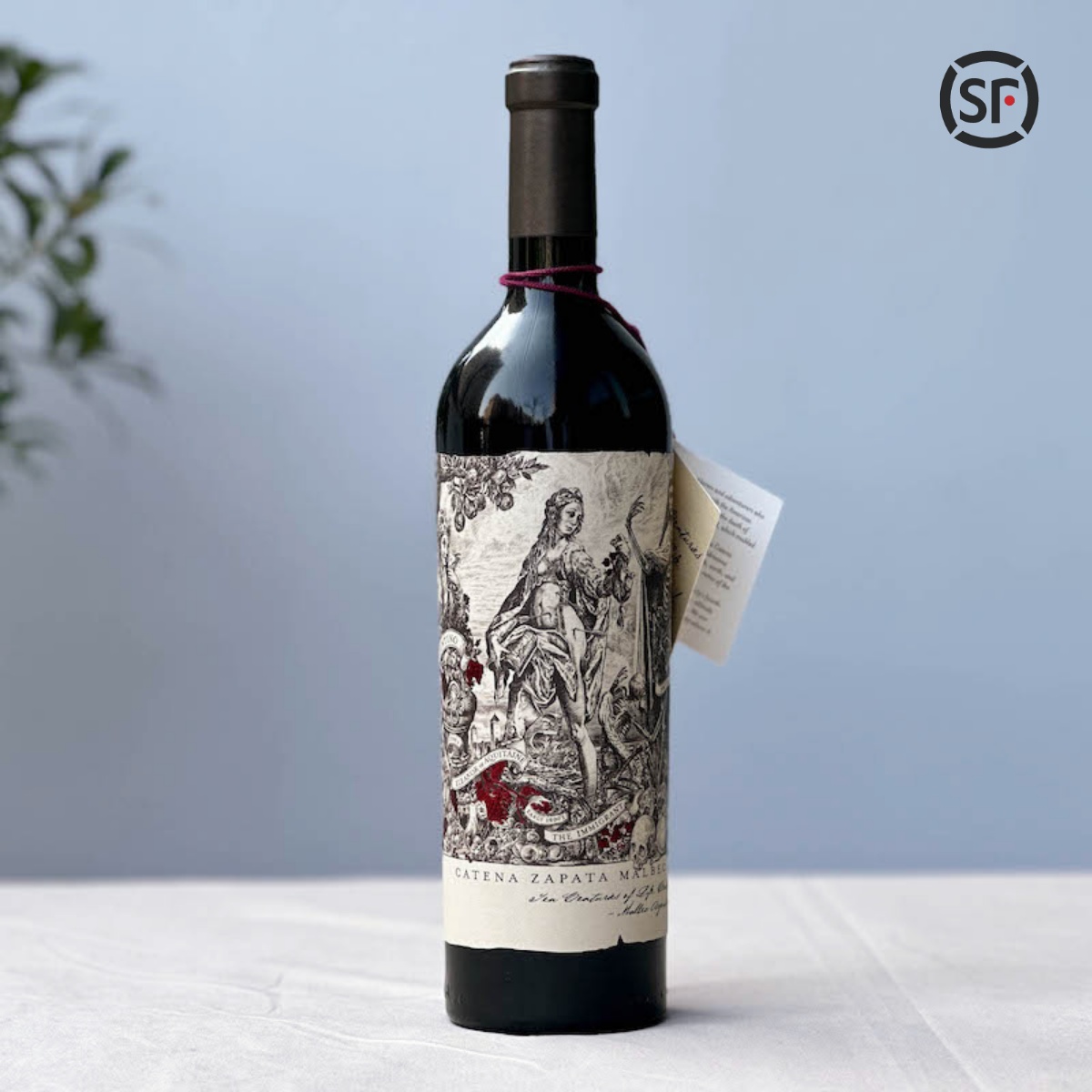 阿根廷酒王卡帝娜CatenaZapata