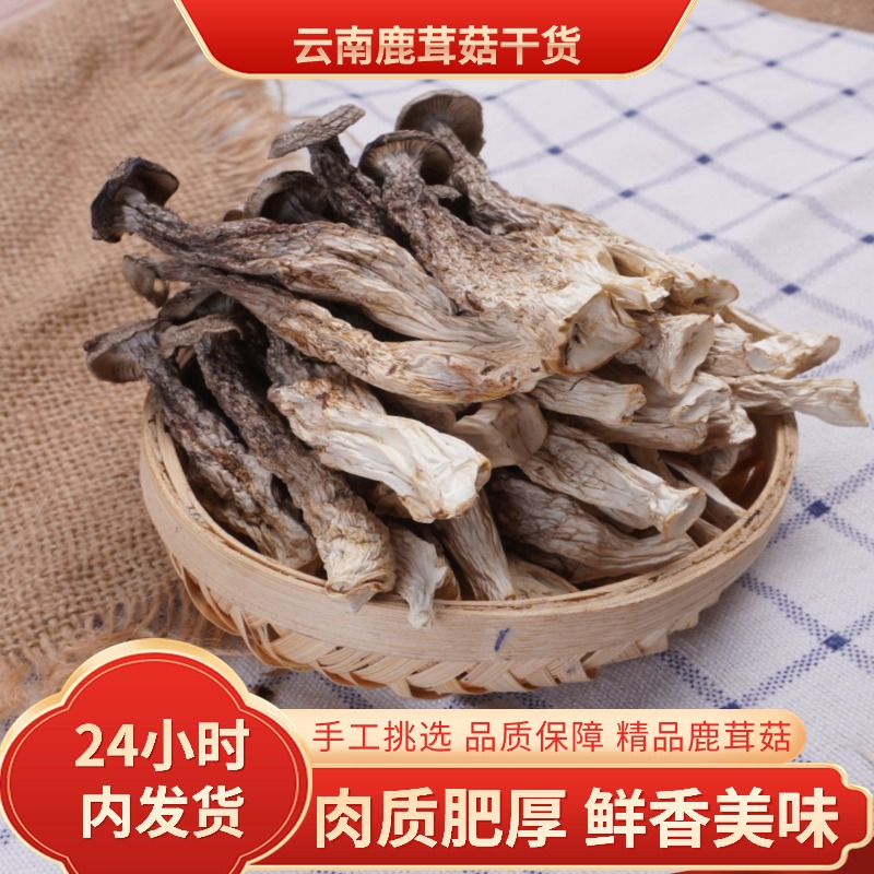 云尚憬鹿茸菇大条干货7厘米以上