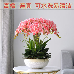 蝴蝶兰仿真花套装高档品质手感假花大盆栽摆件客厅边角几装饰摆设