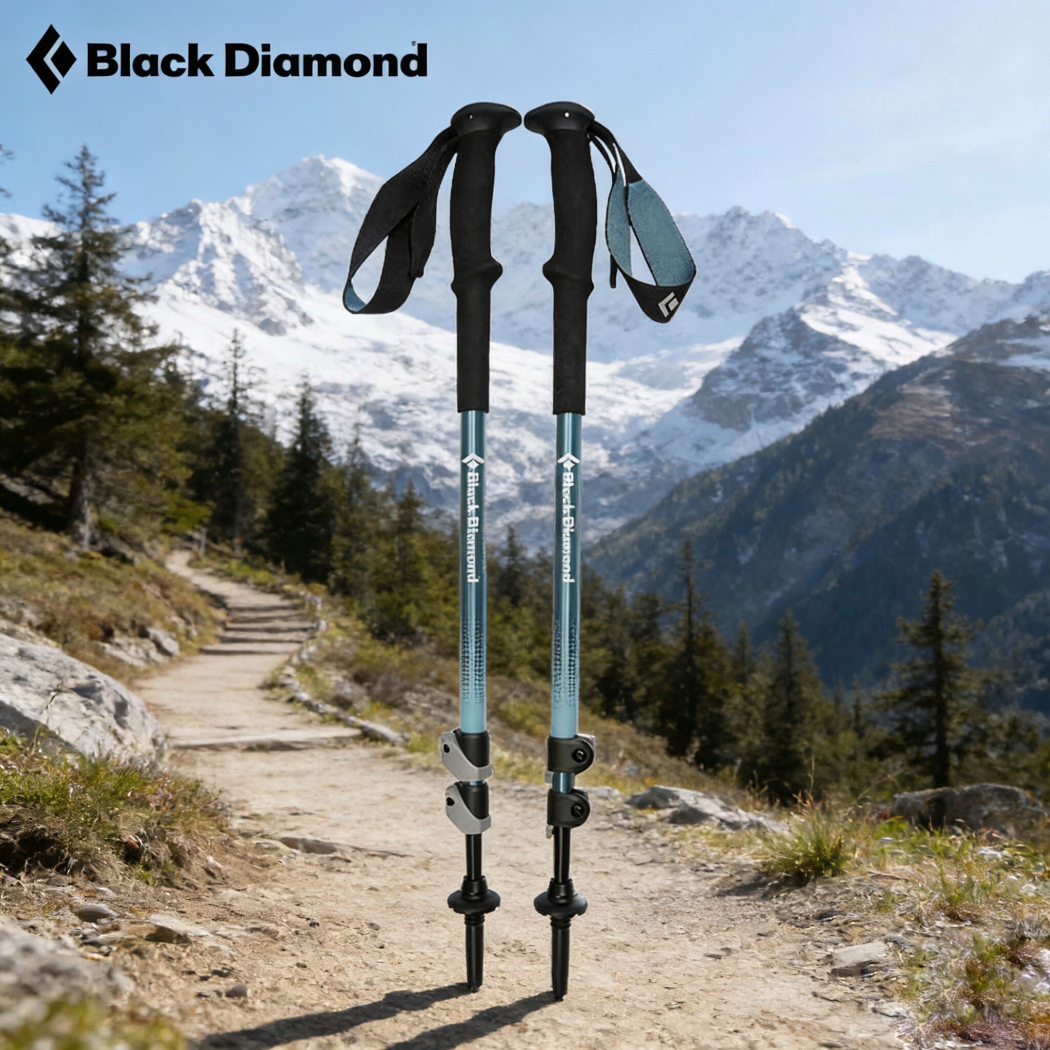 blackdiamond黑钻bd登山杖铝合金伸缩户外徒步手杖爬山装备112552