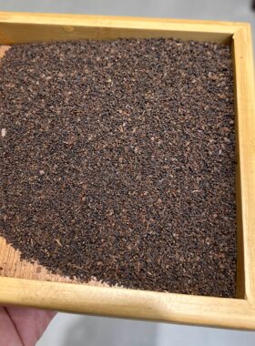 纯六堡茶虫屎茶六堡茶20克