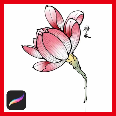 ipad procreate新传统纹身莲花笔刷设计参考绘画软件刺青手稿素材