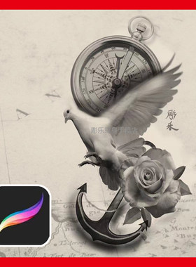 procreate笔刷欧美写实鴿子指南针玫瑰花船舵錨黑灰纹身图案素材