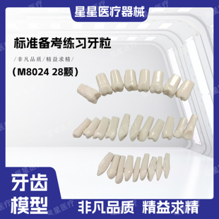 牙科口腔牙齿仿真树脂牙练习根管离体牙开髓牙备牙牙粒考试专用