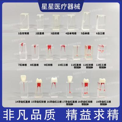 牙科带髓腔透明树脂根管练习块