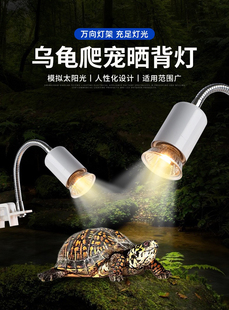 加热灯泡保温灯温控龟池爬行动物乌龟太阳晒背补钙三合一龟缸