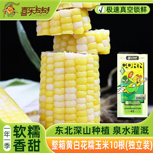 黄白花糯甜玉米软糯鲜甜香甜