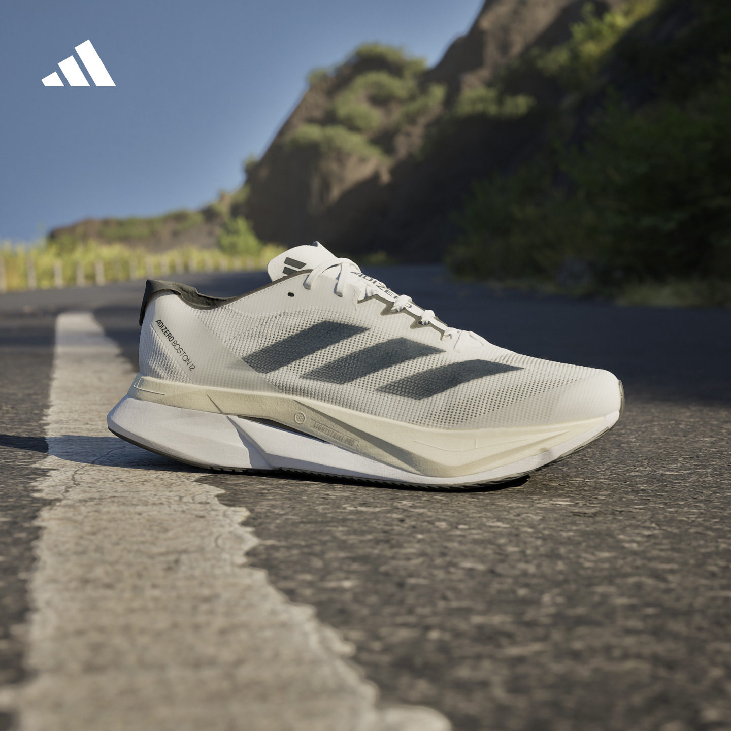 ADIZERO BOSTON 12训练备赛马拉松玻纤柱跑鞋男女adidas阿迪达斯