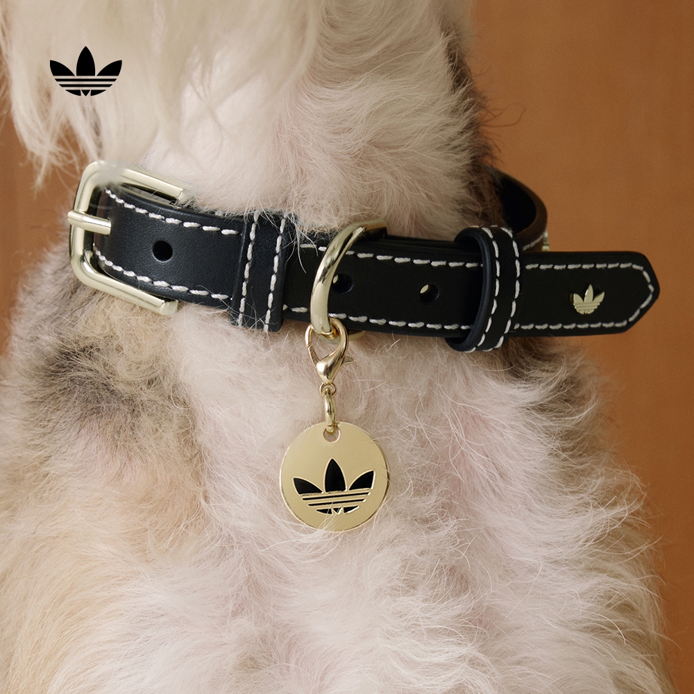 阿迪达斯三叶草宠物经典复古项圈