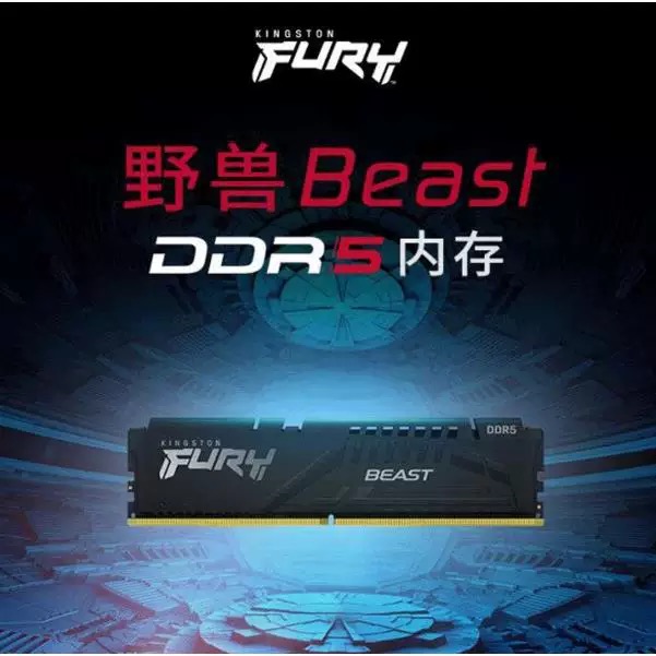 野兽系列DDR5 32G 6000 16G 5600 16G 5600野兽系列骇客神
