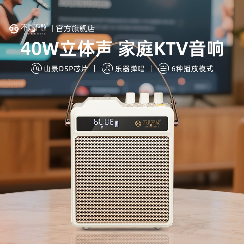 专业户外k歌蓝牙音响自带声卡一体大功率高端便携式广场舞小音箱