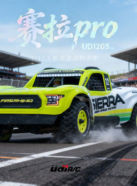 优迪UD1203赛拉PRO遥控电动四驱沙漠卡越野车短卡RC模型1/12无刷