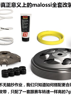 马鲁士特调版 malossi 改装 传动 佛沙350 NSS350 adv350 改装件