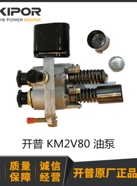 开普KDE12EA/EA3 KDE12STA/STA3 油泵 油泵头 油泵总成 2V80油泵