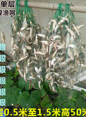 4 5 6 7 8 9分眼单层漂网沉网白条餐鱼网0.8米高小鱼网捕鱼网丝网