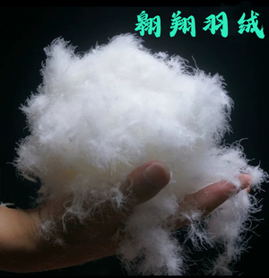 大朵95羽绒鸭绒国标吊绒95白鹅绒散装鹅绒羽绒原料羽绒被服填充物