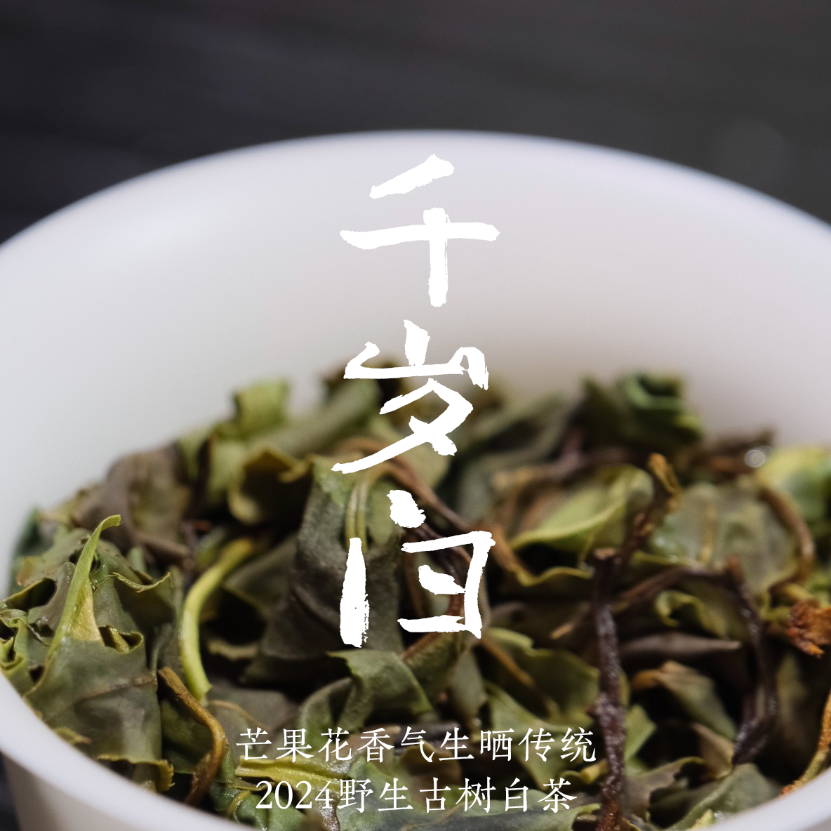 【千岁白】让我惊艳哒云南古树白茶 制法改良 花果香高扬 50 克入