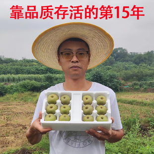 现摘现发正宗四川红心猕猴桃新鲜水果包邮5斤奇异果特大蒲江礼盒