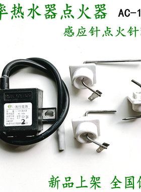 原厂能率100V点火器恒温机通用脉冲高压包点火针感应针热水器配件